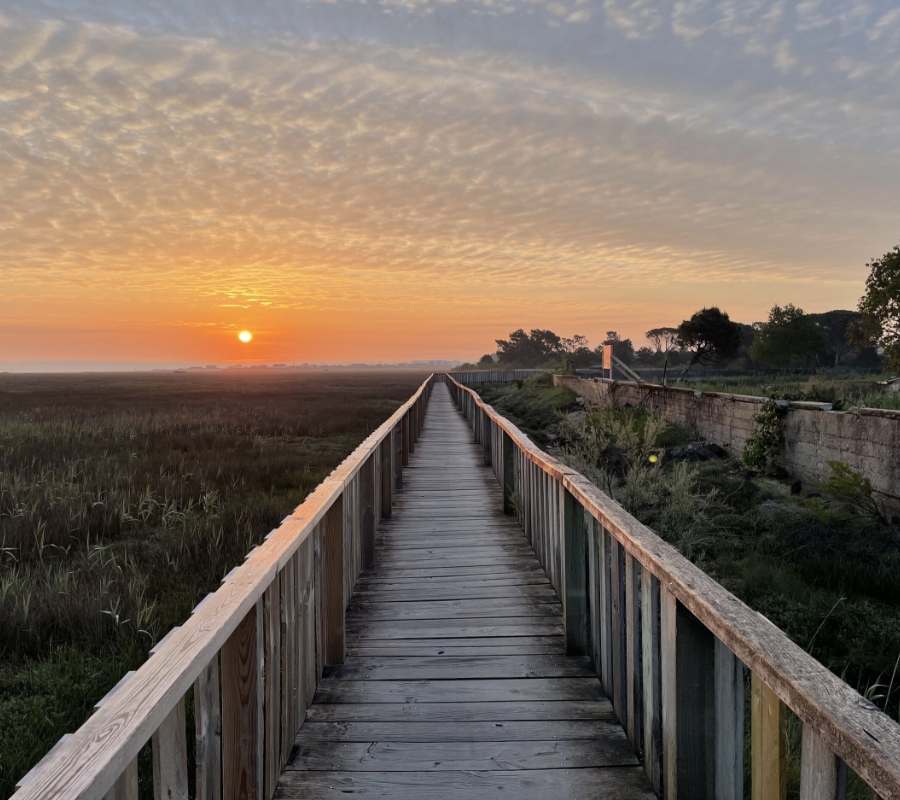 1 2 3 Soleil La Conciergerie Femme De Menage Cap Ferret Img 1